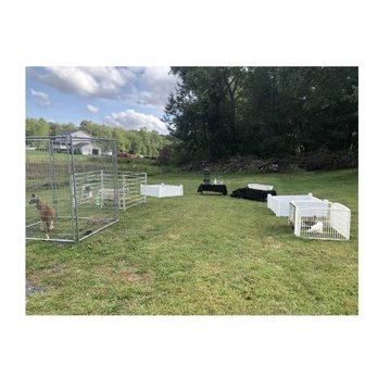 Two By Two Zoo - Outdoor Birthday Party set up. - Zoos Near Me Two By Two Zoo - Outdoor Birthday Party set up. - Zoos Near Me