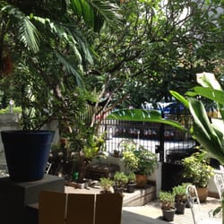 Ipanema Beach House