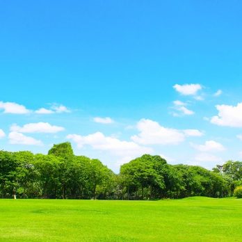 Toppers Total Tree Service - Tree Services Near Me - Cocoa, Florida Toppers Total Tree Service - Tree Services Near Me - Cocoa, Florida