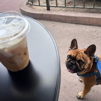 Interlude Coffee - Dog friendly with a couple tables out front - Coffee & Tea Near Me - Whittier, California