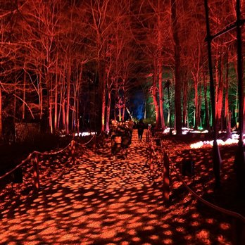 Harry Potter - A Forbidden Forest Experience - Walking Tours Near Me - Yorktown Heights, New York Harry Potter - A Forbidden Forest Experience - Walking Tours Near Me - Yorktown Heights, New York
