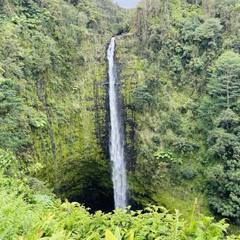 Akaka Falls State Park - Parks Near Me - Honomu, Hawaii