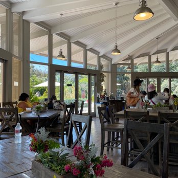 Peacock Cafe - Interior: get the rice pudding!!! - American Near Me - Arcadia, California