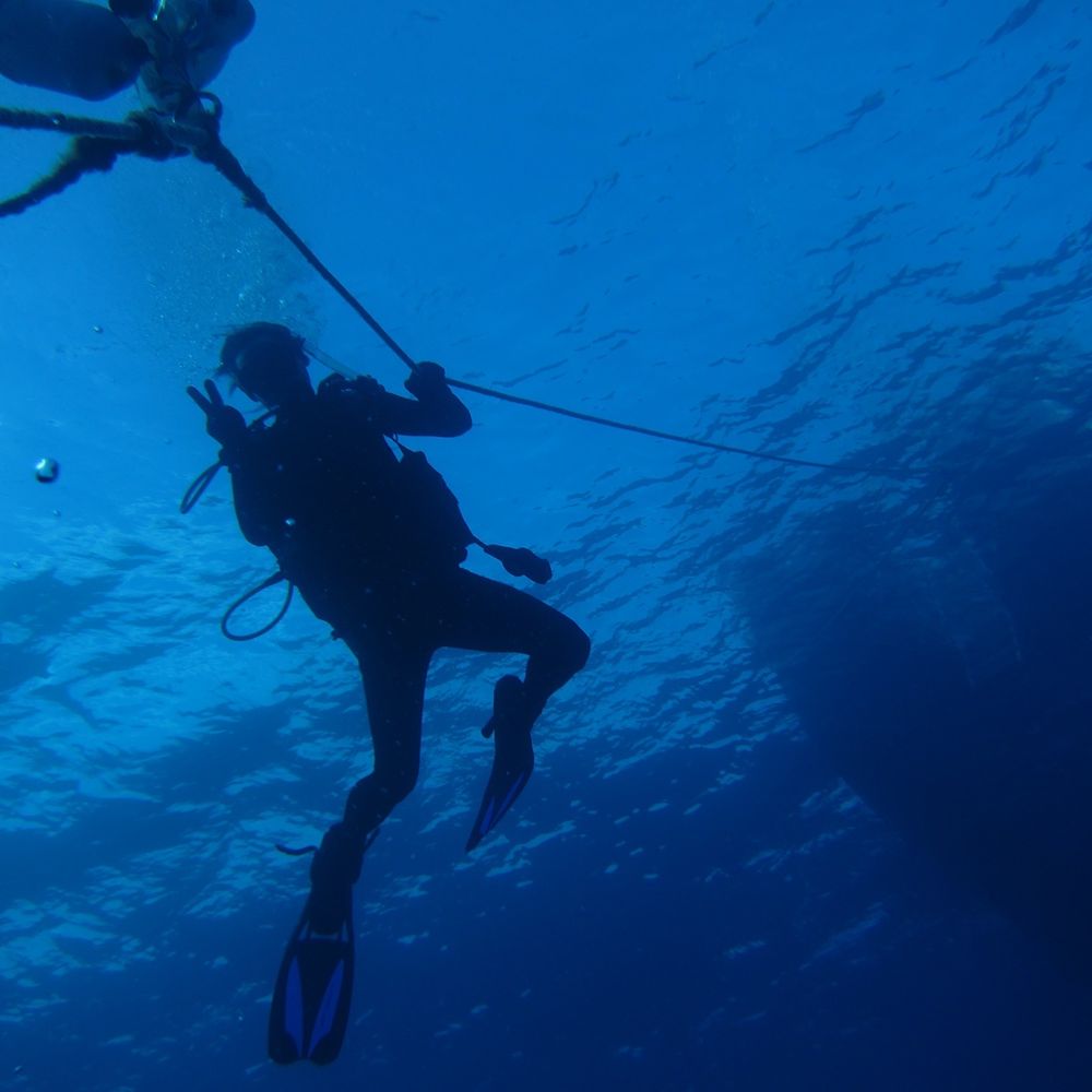 Manini Dive Company Hawaii - Headed back up - Scuba Diving Near Me - Honolulu, Hawaii