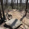 Thick Bikes gift card