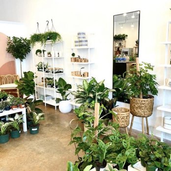 Spruce - Gift Shops Near Me - Jacksonville, Florida