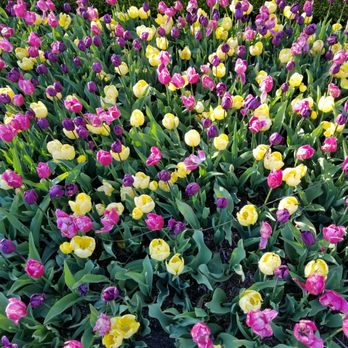 Chicago Botanic Garden - Botanical Gardens Near Me - Glencoe, Illinois