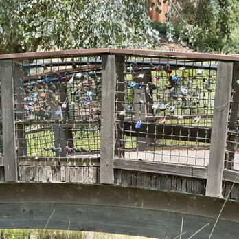 UC Davis Arboretum and Public Garden - Students hang their retired locks on the bridge - Botanical Gardens Near Me - Davis, California UC Davis Arboretum and Public Garden - Students hang their retired locks on the bridge - Botanical Gardens Near Me - Davis, California