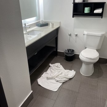 La Quinta Inn by Wyndham Calhoun - This is how the bathroom looked when we checked in. Dirty towels on the floor and a filthy bathroom. - Hotels Near Me - Calhoun, Georgia