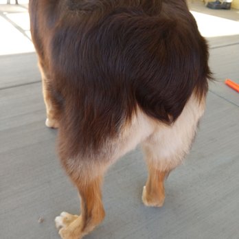 Plush Pups Pet Boutique and Spa - Pet Groomers Near Me - Riverside, California Plush Pups Pet Boutique and Spa - Pet Groomers Near Me - Riverside, California