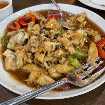 Yang Kee Dumpling - Black bean chow fun with chicken. Most of chicken had been eaten when I took this picture. Delicious! - Dim Sum Near Me - Davis, California Yang Kee Dumpling - Black bean chow fun with chicken. Most of chicken had been eaten when I took this picture. Delicious! - Dim Sum Near Me - Davis, California