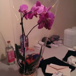 Grocery Outlet - Got this beautiful orchids for $10!