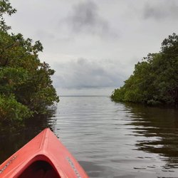 Tocobaga Tours - In Mullet Creek, entering Tampa Bay