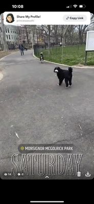 Msgr. McGolrick Park by null