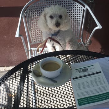 Maxfields - Morning situation - Coffee & Tea Near Me - San Francisco, California