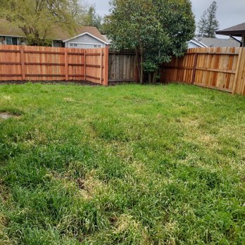 Caligreen Landscaping - So much potential - Landscaping Near Me
