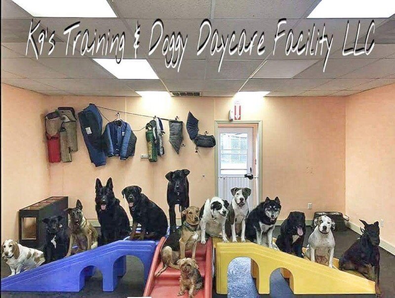 K9’S TRAINING & DOGGY DAYCARE FACILITY Updated August 2024 11 Photos 134 Newton Rd