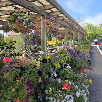 Christianson's Nursery - Nurseries & Gardening Near Me - Mount Vernon, Washington Christianson's Nursery - Nurseries & Gardening Near Me - Mount Vernon, Washington