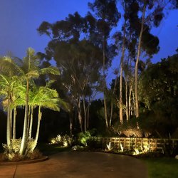 Lighting Distinctions