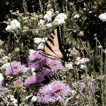 Shipley Nature Center - Community Service/Non-Profit Near Me - Huntington Beach, California Shipley Nature Center - Community Service/Non-Profit Near Me - Huntington Beach, California