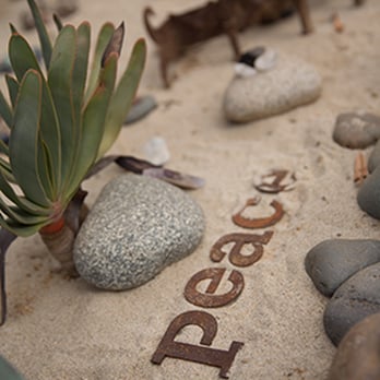 The Fire Garden - Peace via http://bobbyalcott.smugmug.com/ - Venues & Event Spaces Near Me - Bonsall, California The Fire Garden - Peace via http://bobbyalcott.smugmug.com/ - Venues & Event Spaces Near Me - Bonsall, California