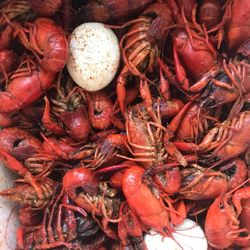 LIL Raggz’ Crawdads