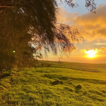 Paniolo Adventures - Epic sunset!!! - Horseback Riding Near Me Paniolo Adventures - Epic sunset!!! - Horseback Riding Near Me