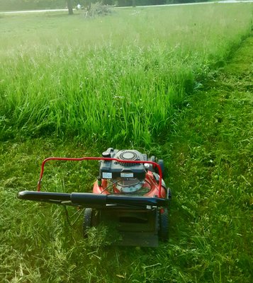 Lawn Mowing and Trimming *Most Popular* - We mow and trim your lawn for one easy price. You can also add blowing and edging at a low price