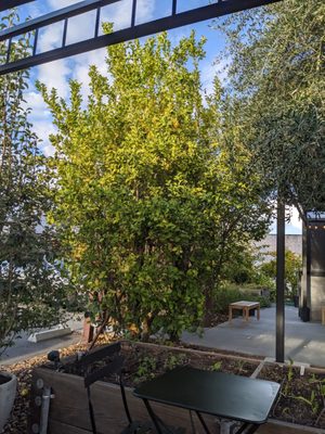 St Clair Brown Winery & Brewery by null