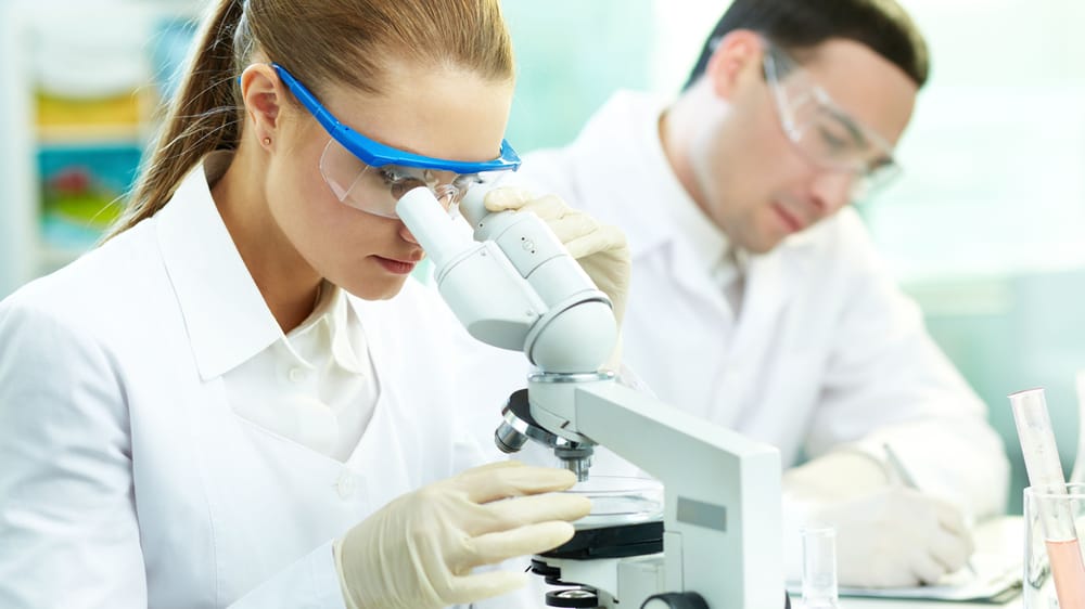 INOVAR DECOR USA UPHOLSTERY 7250 Harwin Dr, Houston, Texas