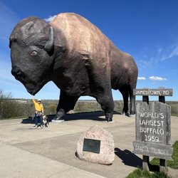North American Bison Discovery Center