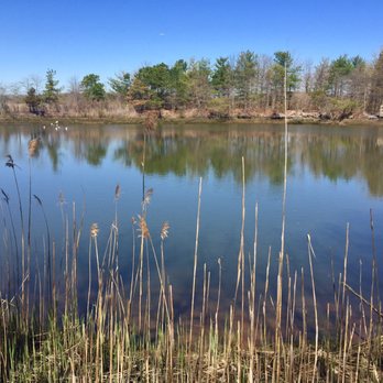 Cheesequake State Park - Lake view on the blue trail - Parks Near Me - Matawan, New Jersey