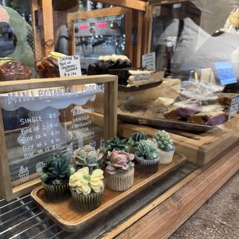 Urban Backyard - Mini Succulent Cupcakes - Coffee & Tea Near Me - New York, New York