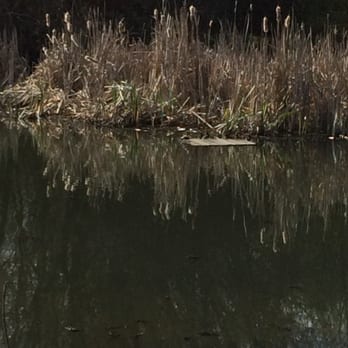 North Mountain Park Nature Center - Pond - Parks Near Me - Ashland, Oregon