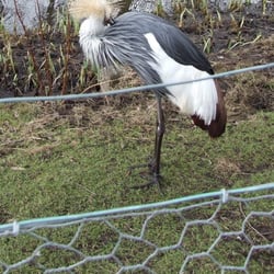 WWT Martin Mere Wetland Centre