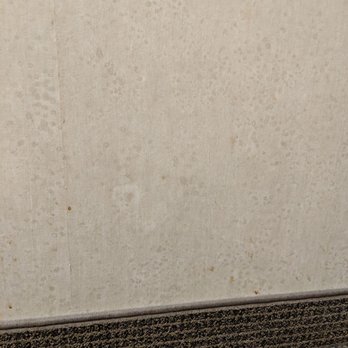 Embassy Suites by Hilton Buffalo - Stain on Entrance Wall - Hotels Near Me - Buffalo, New York
