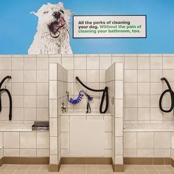 Pet Supplies Plus Harper's Preserve - Wash stations - Pet Groomers Near Me - Conroe, Texas Pet Supplies Plus Harper's Preserve - Wash stations - Pet Groomers Near Me - Conroe, Texas