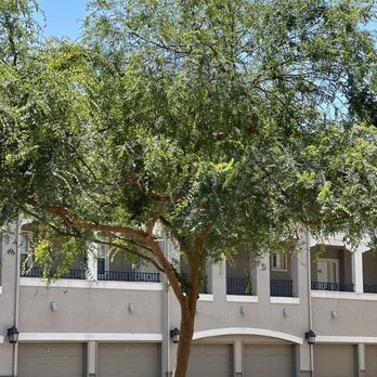One Pearl Place - Tranquility - Apartments Near Me - San Jose, California One Pearl Place - Tranquility - Apartments Near Me - San Jose, California