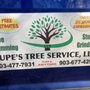 Photo of Lupe's Tree Service