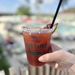 Ottine Mineral Springs