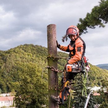 BG Tree Care - Landscaping Near Me - Spring City, Pennsylvania BG Tree Care - Landscaping Near Me - Spring City, Pennsylvania