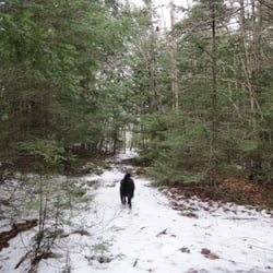 Sandy Lake Park