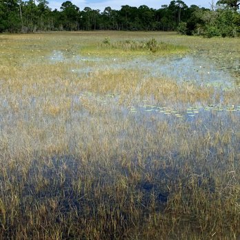 Spruce Bluff Preserve - View from bridge - Hiking Near Me - Port St Lucie, Florida