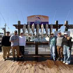 FoxSea Lady Charters - Amberjack and the 'harvesters'!