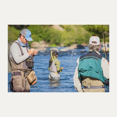 Matt Heron Fly Fishing by null