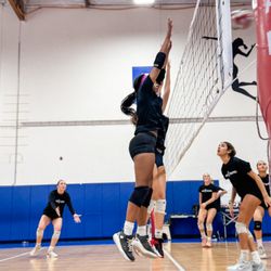 Viper Volleyball