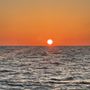 Suncoast Watersports