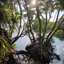 Deering Point