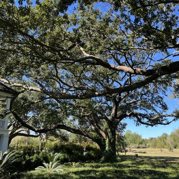 Whitney Plantation - Museums Near Me - Wallace, Louisiana Whitney Plantation - Museums Near Me - Wallace, Louisiana