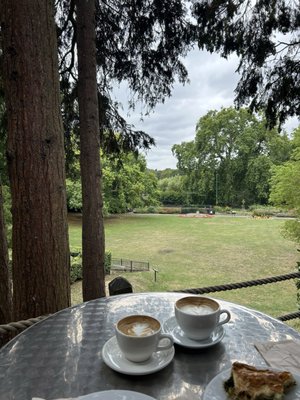 Hollyhock Vegetarian Fairtrade Cafe by null